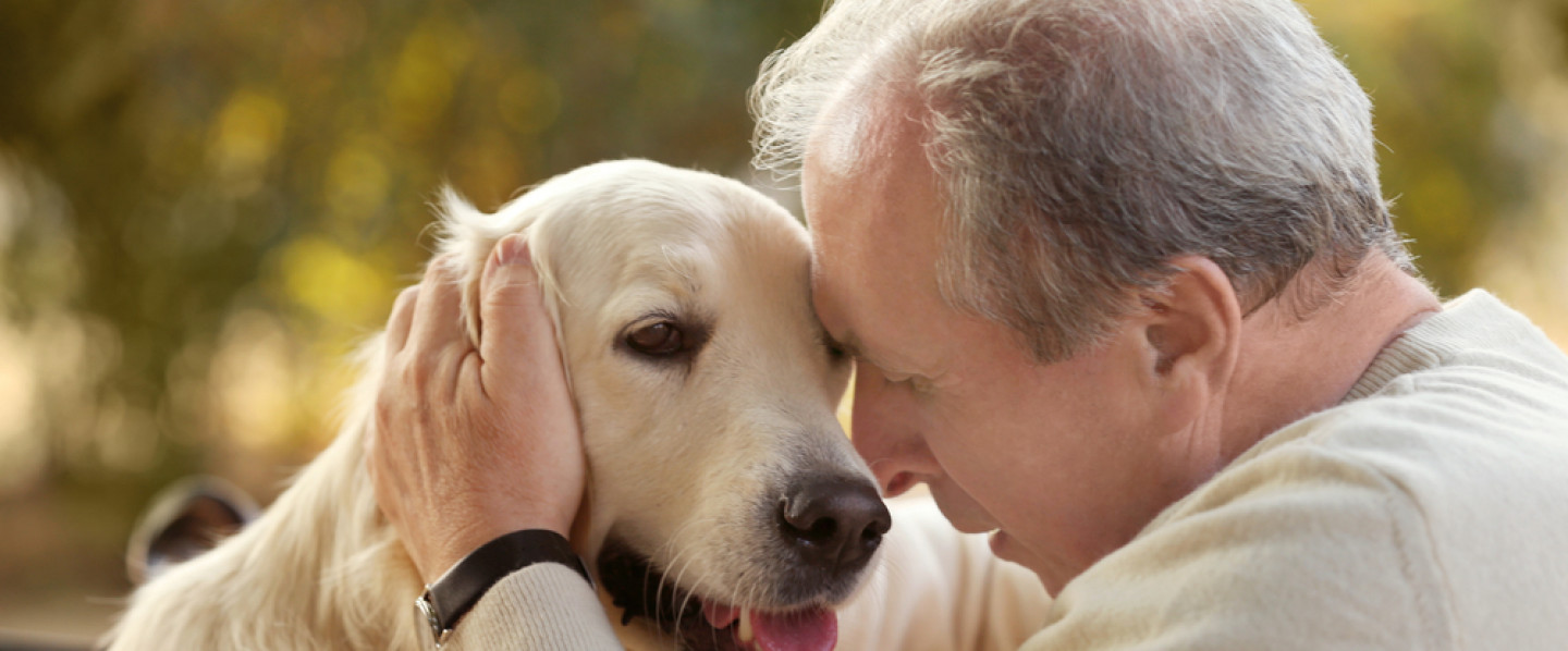 compassionate veterinary care binghamton ny